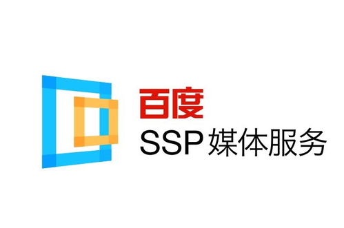 蜘蛛池:细致入微的全面解析